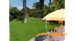 065f53fbd61cfaf30a39d86cd82008e7