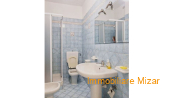 Piantina liv. 1