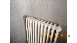 IMG-20250419-WA0050