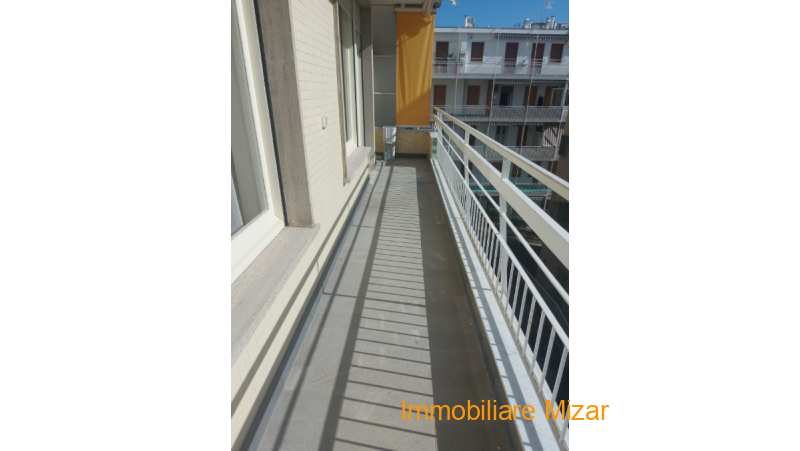 20241028_122458-768x1024