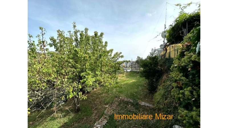 MNTGHUMJ