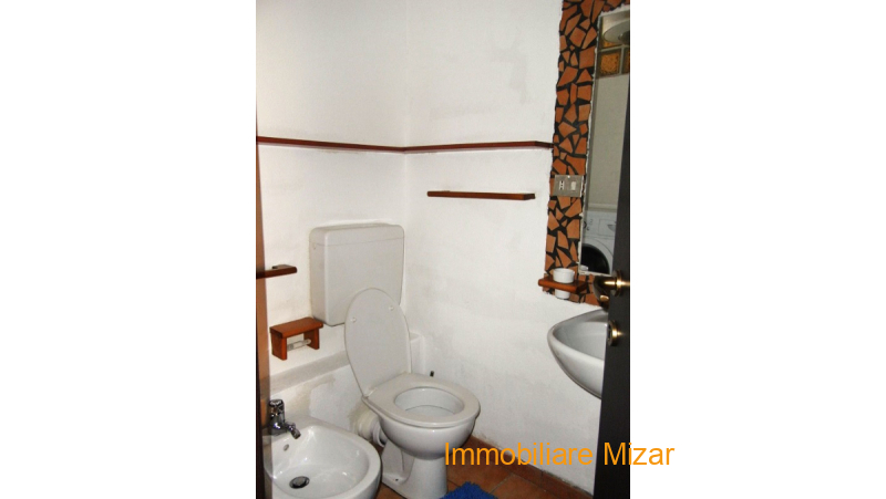 858c591a-407b-48d8-bac7-c5ce83cc0d7a